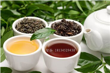 智谷享購代理是什么市場模式