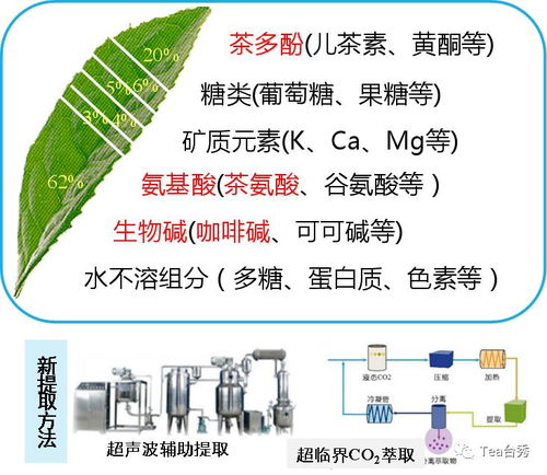 基于食品工業(yè)的茶業(yè)機(jī)會