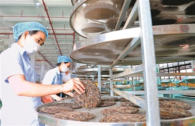 西江經(jīng)濟帶