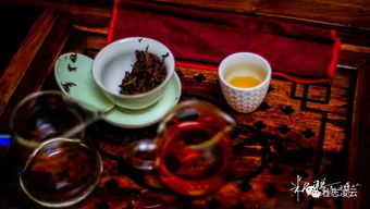 凌云白毫 亮相 上海國際茶業(yè)博覽會