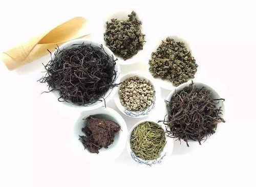 2017北京國際茶業展