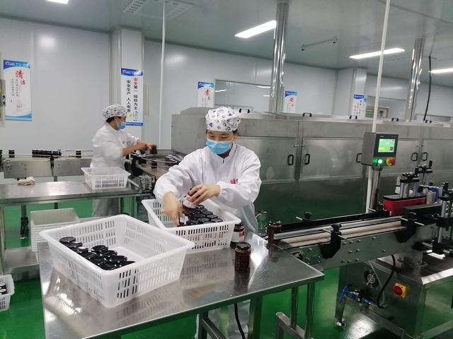 商南培育農(nóng)產(chǎn)品深加工企業(yè) 延長農(nóng)特產(chǎn)品產(chǎn)業(yè)鏈|茶葉|商南.