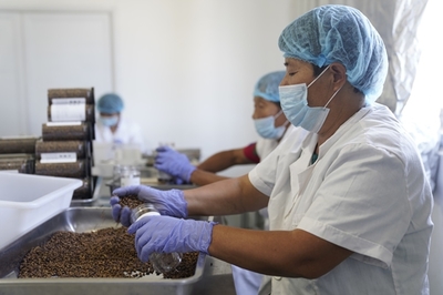 同濟(jì)高材生種田賣貨 5個月長成蘇寧拼購明星店