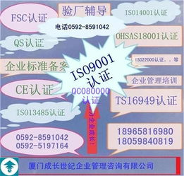 安徽ISO9001:2015精細化輔導咨詢 信息咨詢服務升級與體系優(yōu)化新路徑
