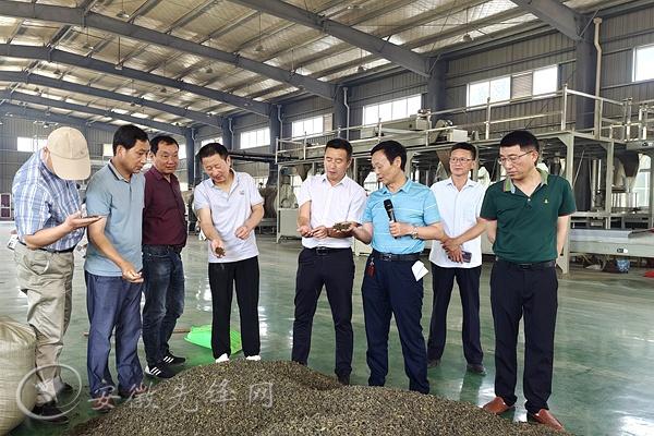 石台县:“四举措”打造乡村振兴“排头兵”