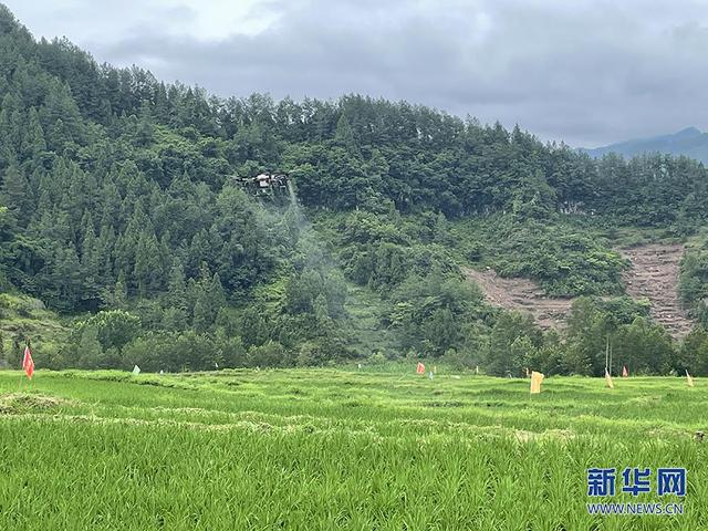 撂荒地“耕”新看“沉睡”土地长出“希望田野”