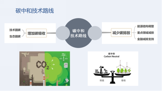 陈锦焕:党建引领下碳排放监测与碳配额管理