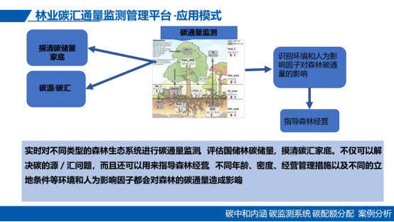 陈锦焕:党建引领下碳排放监测与碳配额管理