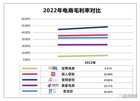 2022最新中国十大电商代运营公司出炉（附全榜单）