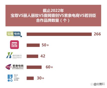 2022最新中国十大电商代运营公司出炉（附全榜单）