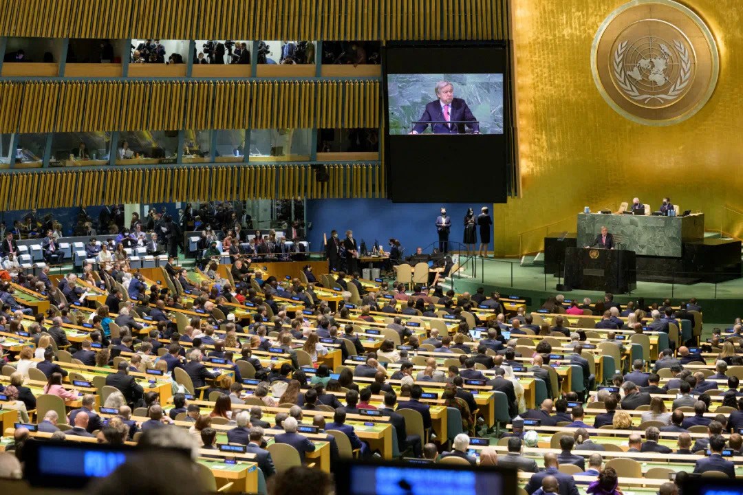 联合国网合集团庆祝第七十七届联合国大会顺利召开