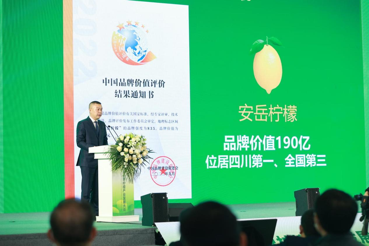 第三届世界柠檬产业发展大会开幕式暨柠檬产业创新发展峰会圆满举行
