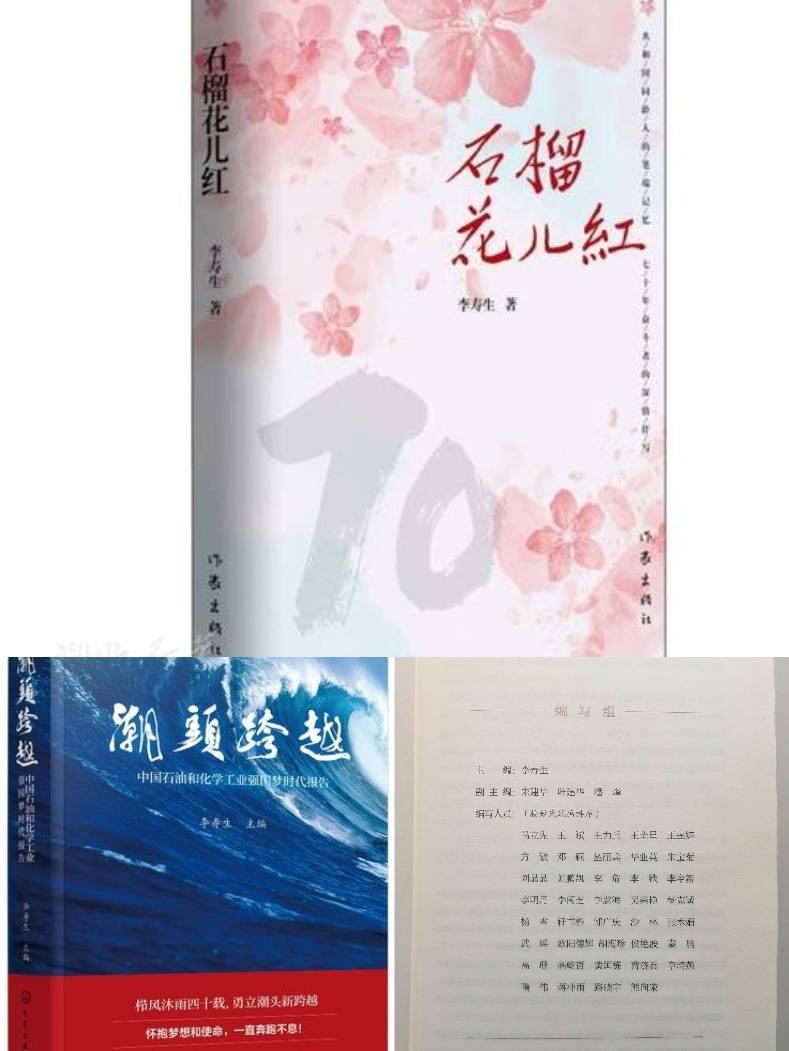 <br>百舸争流 千帆竞发---2022年石化企业五百强榜单发布