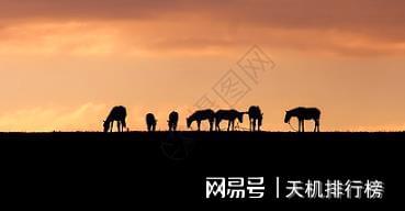 <strong>何五星:喀什金融定位为“新丝绸之路金融中心”的主要依据、方向内容和政策建议</strong>
