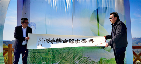 14462003642888913_83.png 春风又绿天台山,邀你去浙江宁海桑洲镇品茶赏花