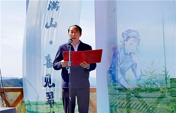 1446396457493026_83.png 春风又绿天台山,邀你去浙江宁海桑洲镇品茶赏花