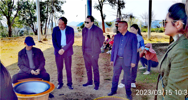 14471140737997064_83.png 春风又绿天台山,邀你去浙江宁海桑洲镇品茶赏花
