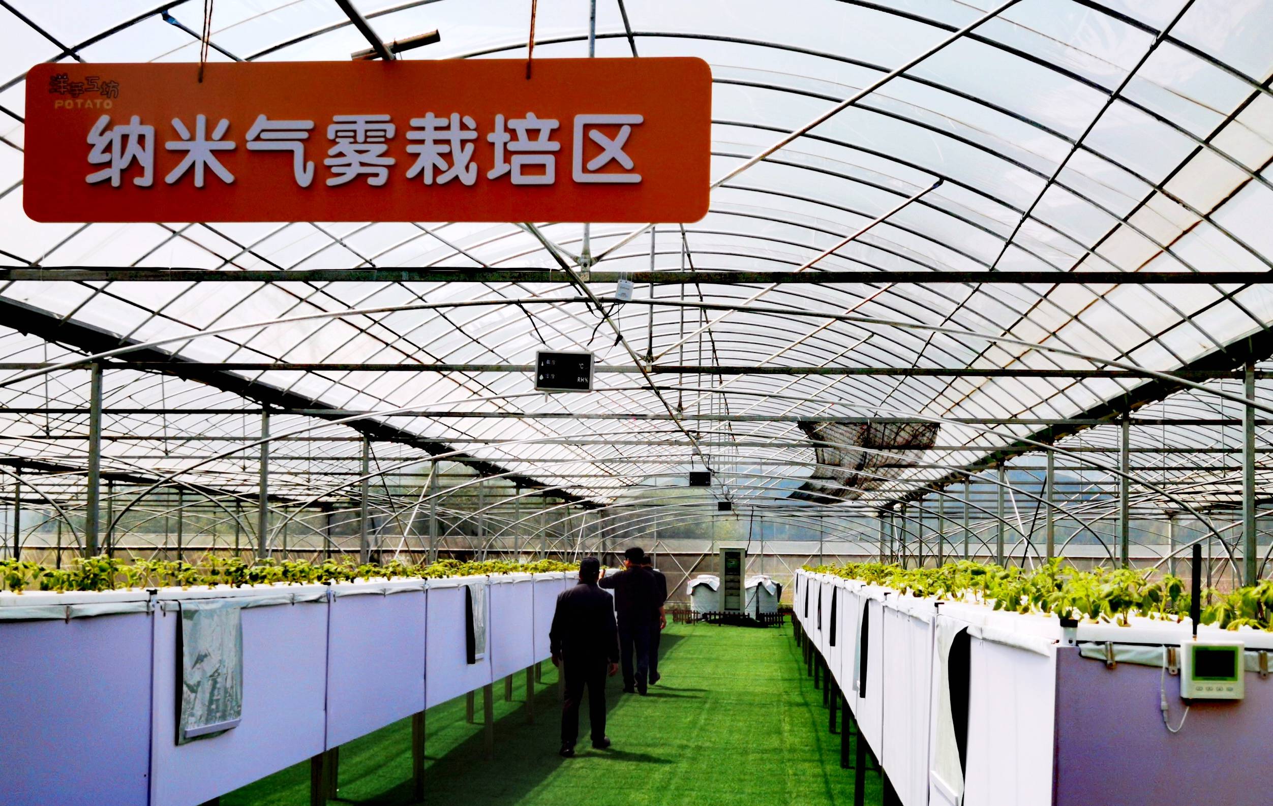 宁波胡陈土豆种在空气中，以乡村振兴引领农民共富 