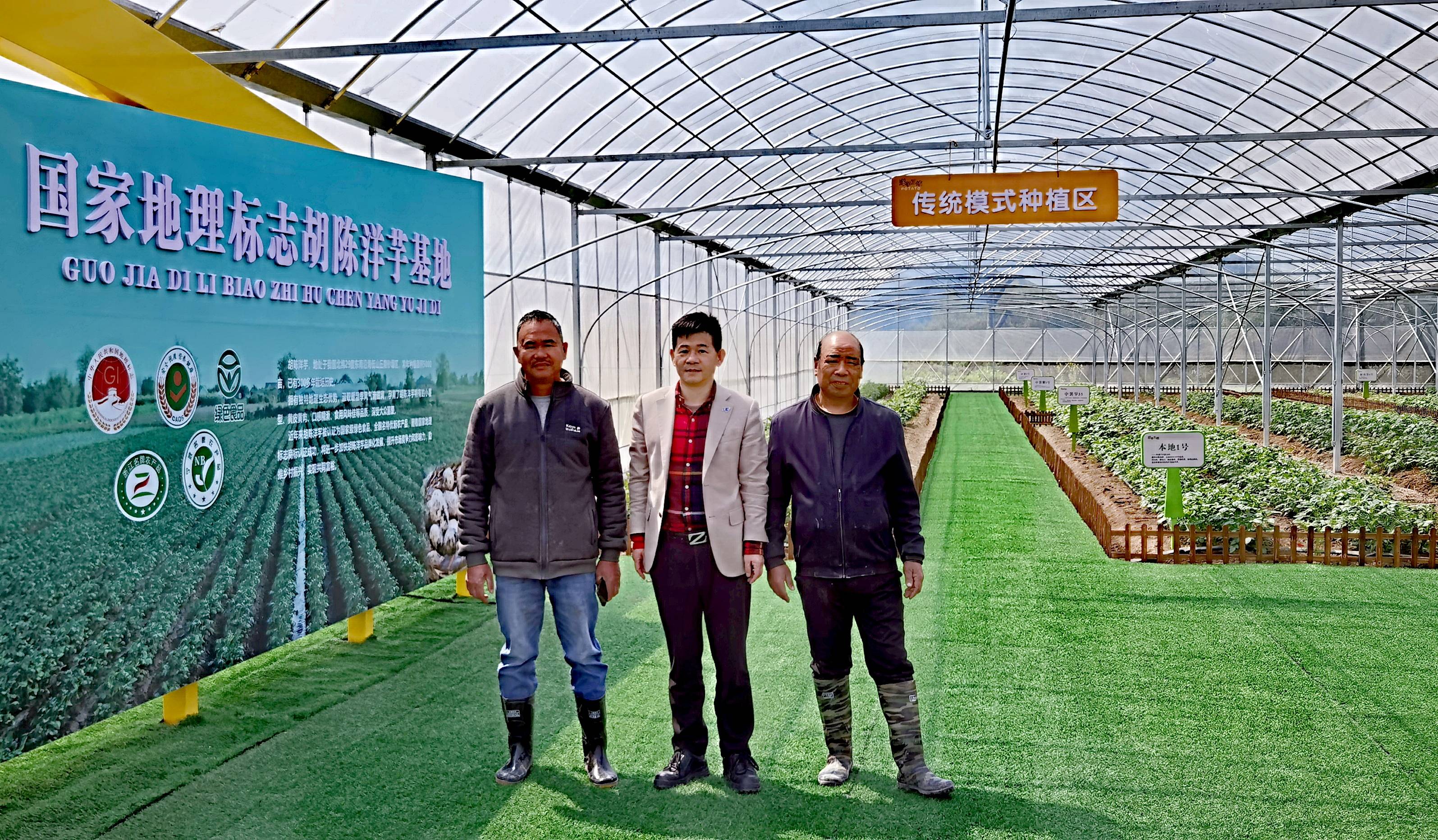 宁波胡陈土豆种在空气中,以乡村振兴引领农民共富