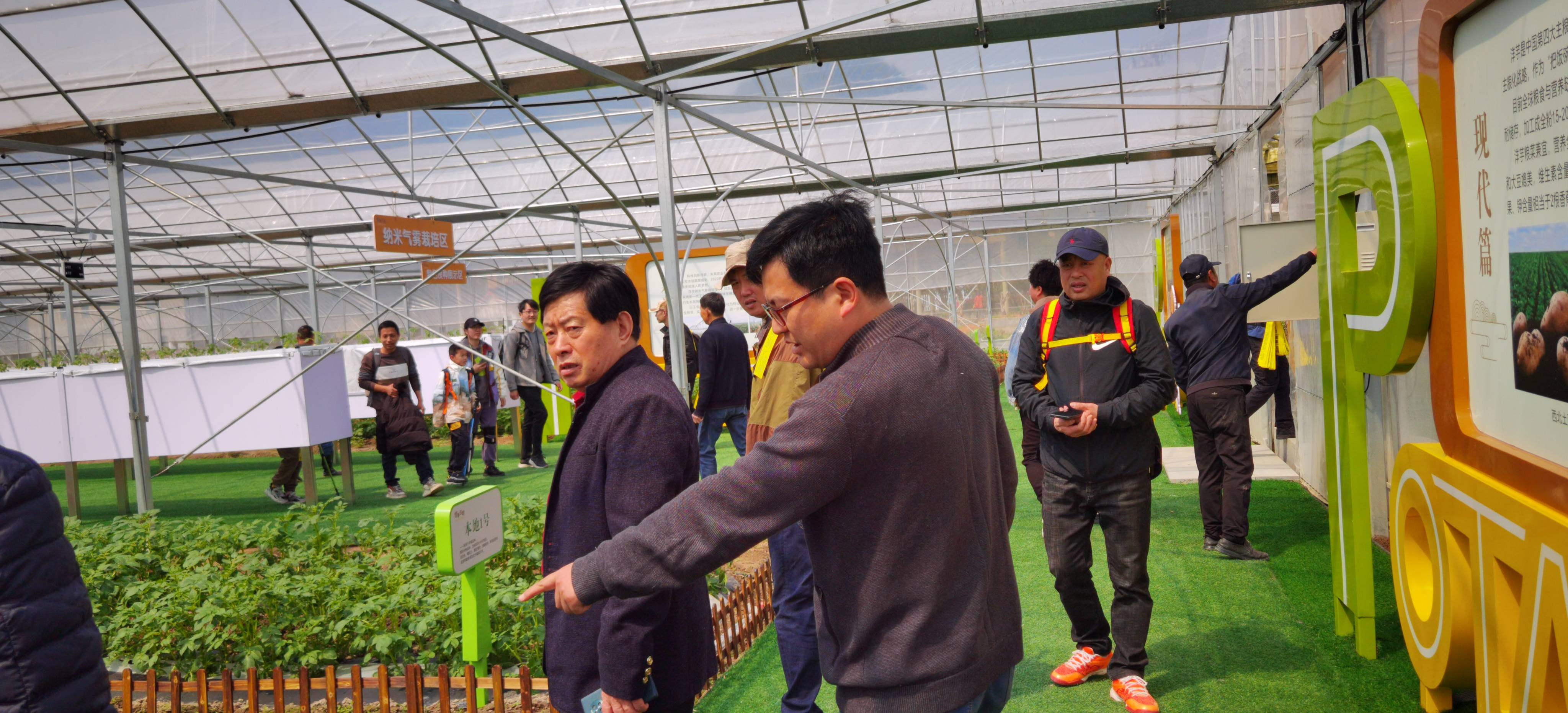 宁波胡陈土豆种在空气中,以乡村振兴引领农民共富