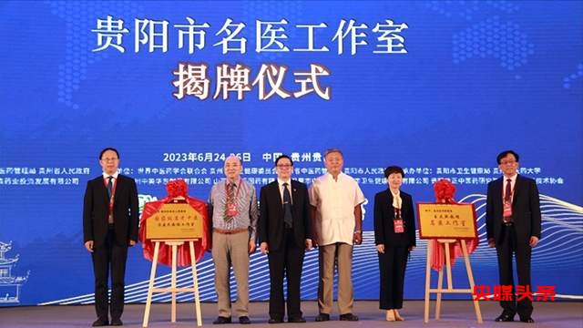 推动中医药高质量走向世界!世界中医药大会第七届夏季峰会开幕