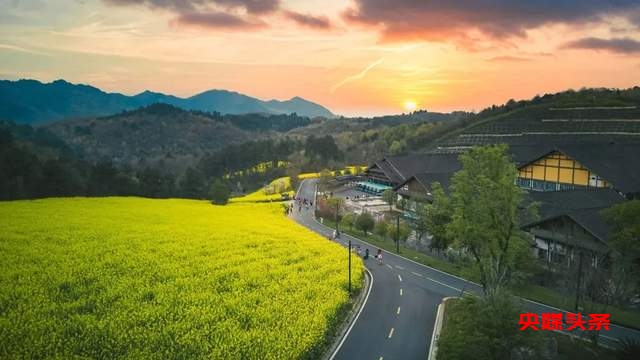 【乡村振兴】乌江寨:“共生”思想,做一个社会责任的景区