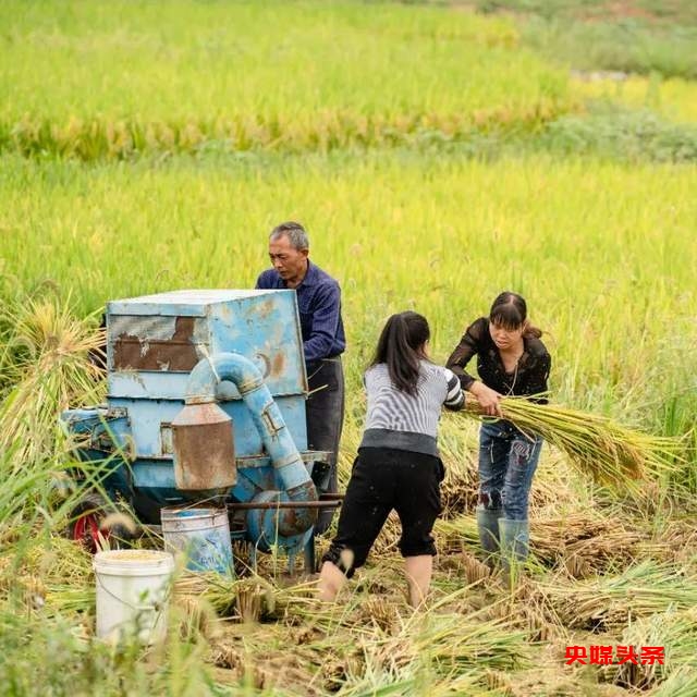 【乡村振兴】乌江寨：“共生”思想，做一个社会责任的景区