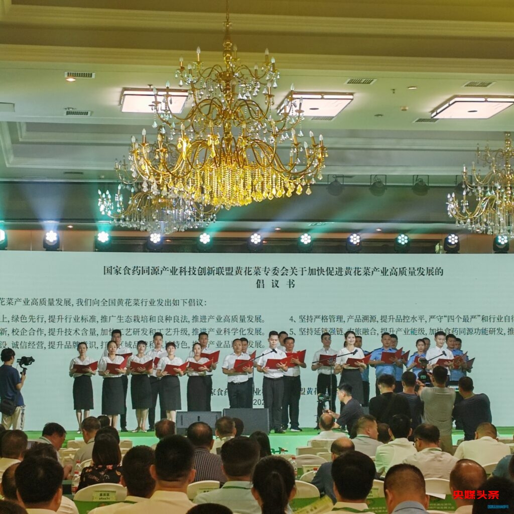 中国黄花菜之乡 祁东县举办第三届黄花菜节暨食药同源产业发展大会