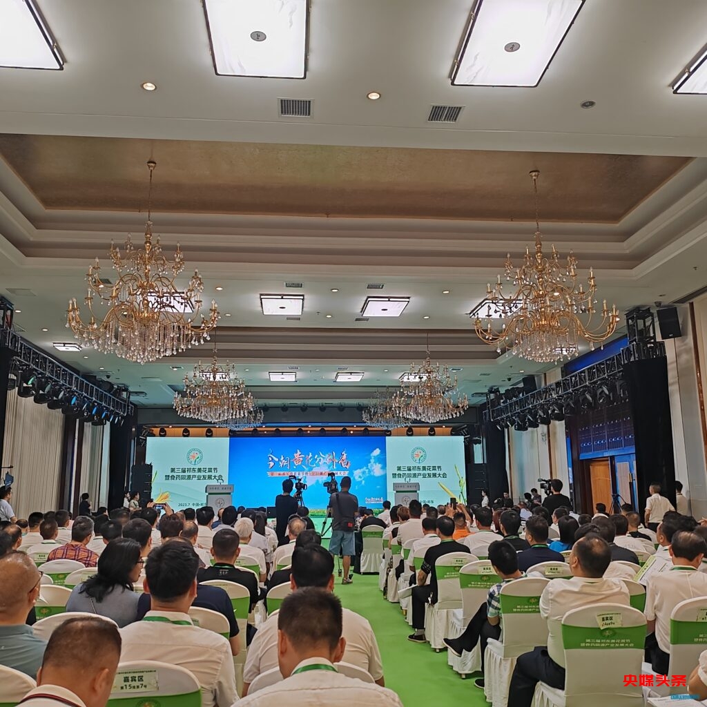中国黄花菜之乡 祁东县举办第三届黄花菜节暨食药同源产业发展大会
