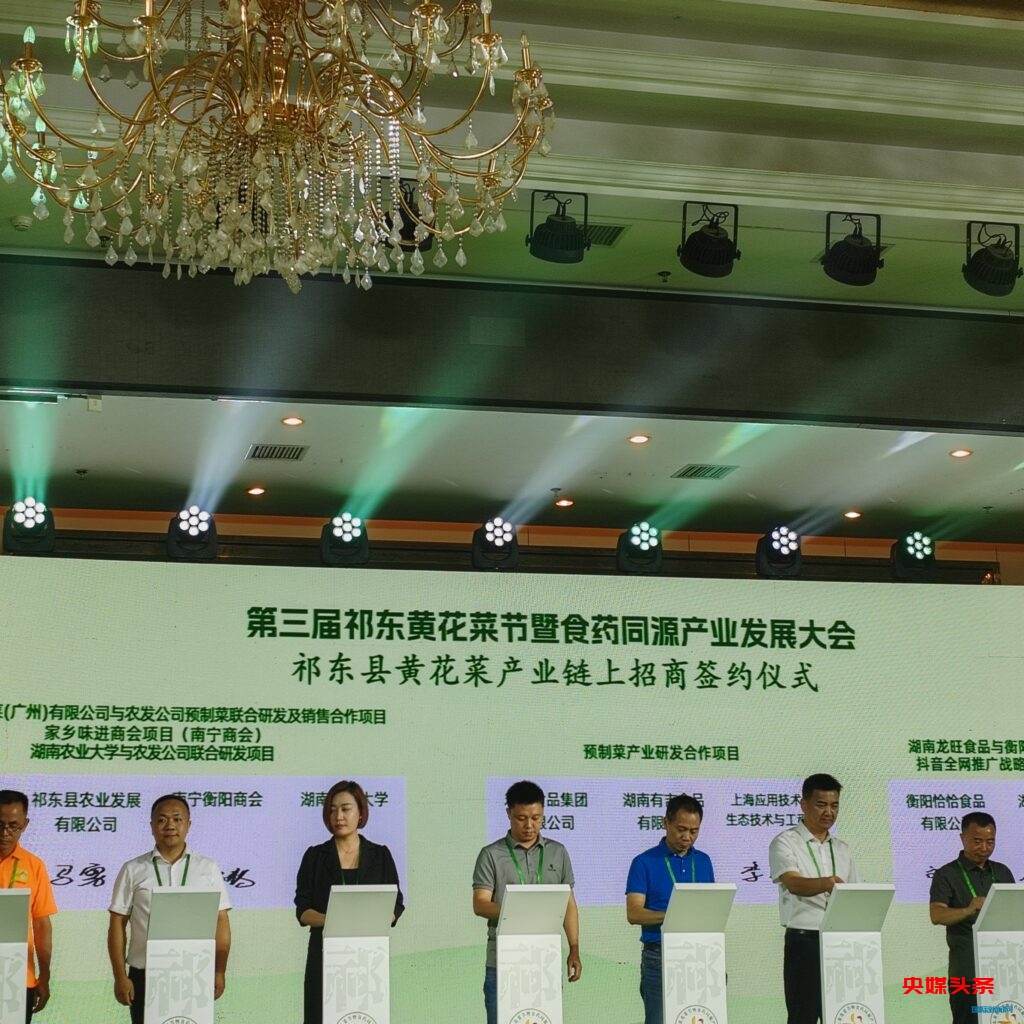 中国黄花菜之乡 祁东县举办第三届黄花菜节暨食药同源产业发展大会