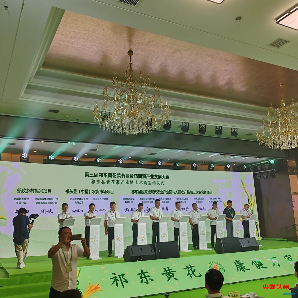中国黄花菜之乡 祁东县举办第三届黄花菜节暨食药同源产业发展大会