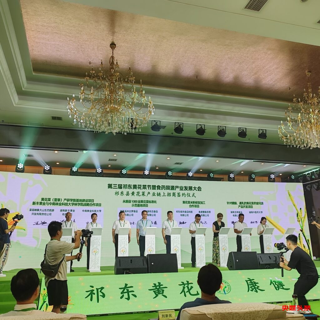 中国黄花菜之乡 祁东县举办第三届黄花菜节暨食药同源产业发展大会