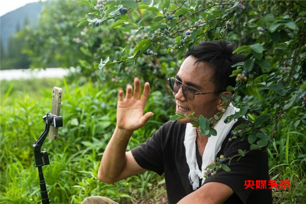 11225893924881813_83.png 象山80后林一平硕士返乡做农民 成了网红"蓝莓王"