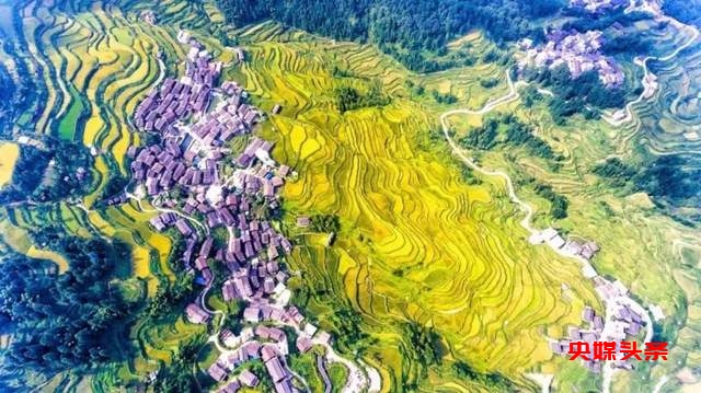 神秘从江 · 养心圣地(探秘非遗体验之旅)