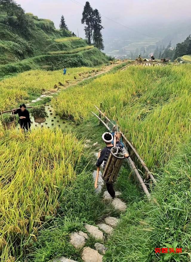 神秘从江 · 养心圣地(探秘非遗体验之旅)