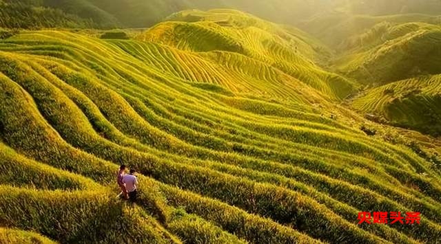 神秘从江 · 养心圣地(探秘非遗体验之旅)