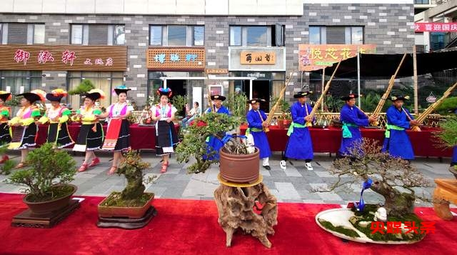 贵州省龙里县盆景艺术盛宴:庆祝中秋国庆,助推旅游与乡村振兴