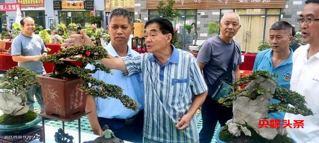 贵州省龙里县盆景艺术盛宴:庆祝中秋国庆,助推旅游与乡村振兴