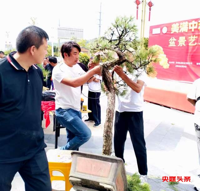 贵州省龙里县盆景艺术盛宴:庆祝中秋国庆,助推旅游与乡村振兴