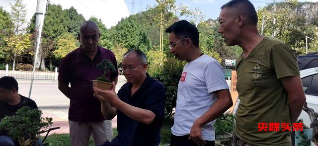 贵州省龙里县盆景艺术盛宴:庆祝中秋国庆,助推旅游与乡村振兴