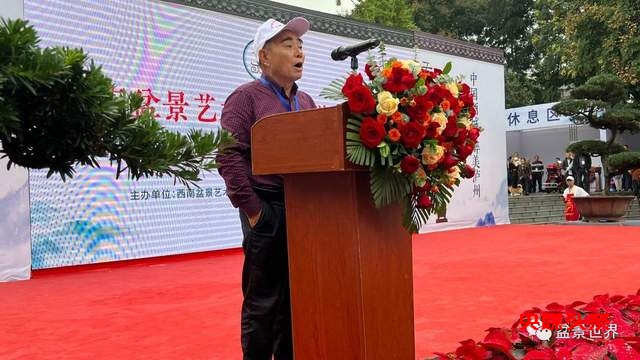 贵州省福泉盆景艺术闪耀泸州:为祖国生日献礼,荣获金、银、铜奖