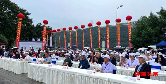 贵州省福泉盆景艺术闪耀泸州:为祖国生日献礼,荣获金、银、铜奖