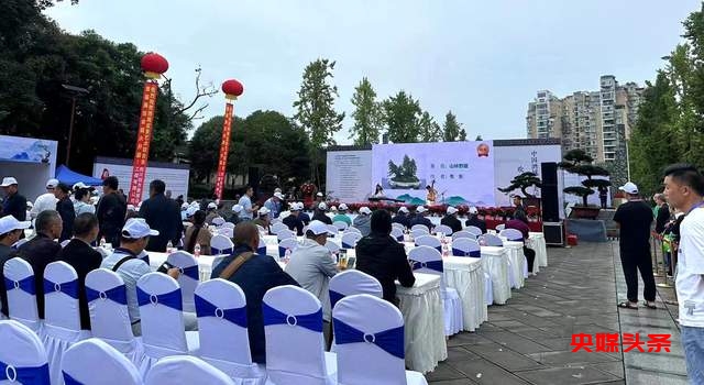 贵州省福泉盆景艺术闪耀泸州:为祖国生日献礼,荣获金、银、铜奖