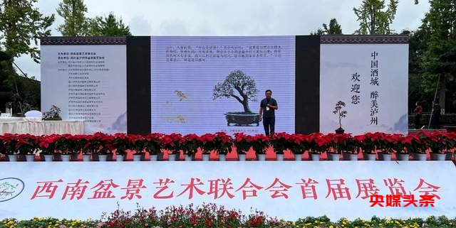 贵州省福泉盆景艺术闪耀泸州:为祖国生日献礼,荣获金、银、铜奖