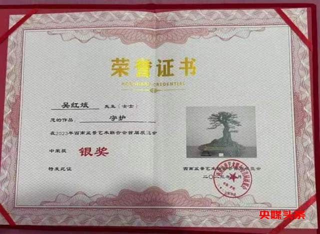 贵州省福泉盆景艺术闪耀泸州:为祖国生日献礼,荣获金、银、铜奖