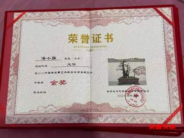 贵州省福泉盆景艺术闪耀泸州:为祖国生日献礼,荣获金、银、铜奖