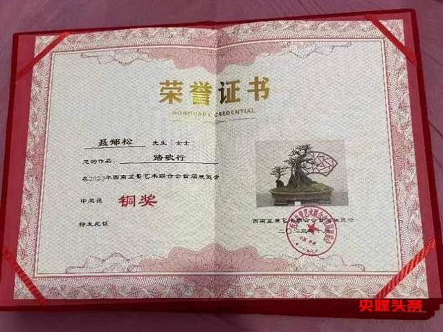 贵州省福泉盆景艺术闪耀泸州:为祖国生日献礼,荣获金、银、铜奖