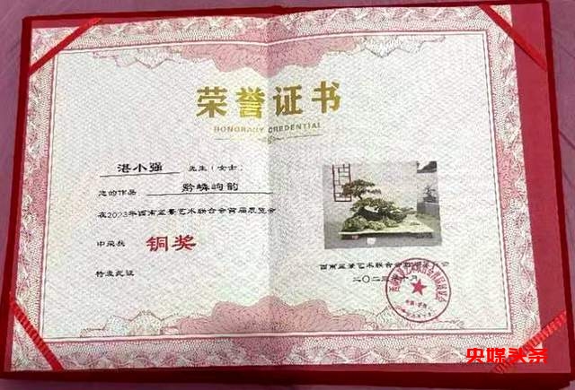 贵州省福泉盆景艺术闪耀泸州:为祖国生日献礼,荣获金、银、铜奖