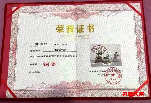 贵州省福泉盆景艺术闪耀泸州:为祖国生日献礼,荣获金、银、铜奖