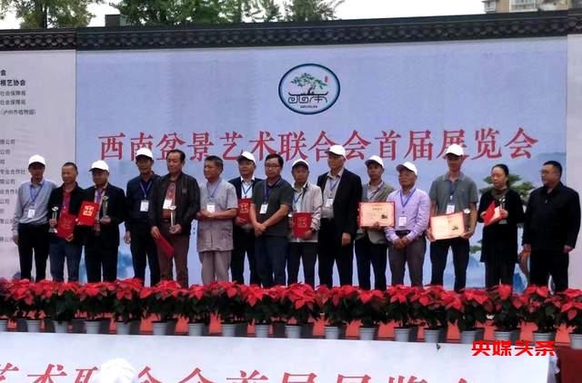 贵州省福泉盆景艺术闪耀泸州:为祖国生日献礼,荣获金、银、铜奖